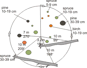 Circular plot